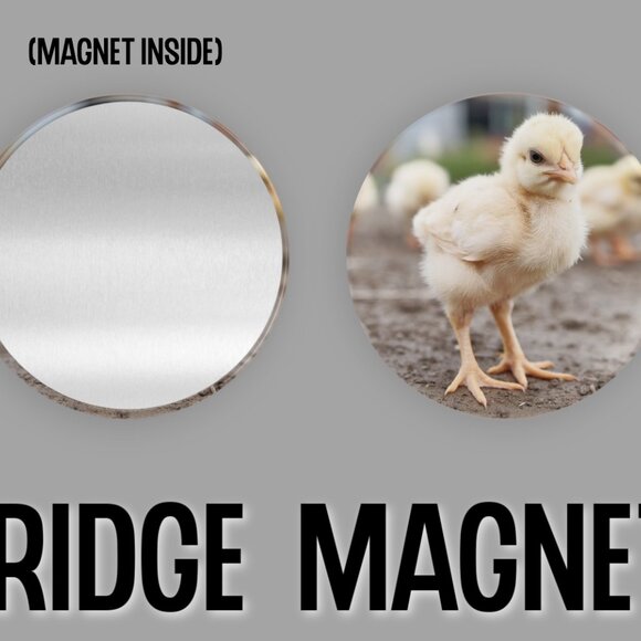 Chicken Fridge Magnets Set Of 6 Metal Magnets For Home Office Kitchen School - Picture 3 of 6